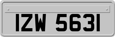 IZW5631