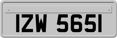 IZW5651