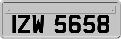 IZW5658