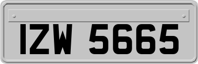 IZW5665