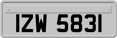 IZW5831
