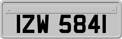 IZW5841