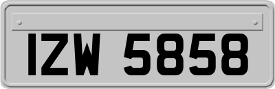 IZW5858
