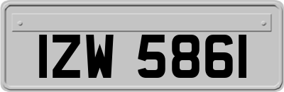 IZW5861