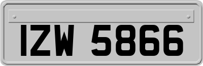 IZW5866