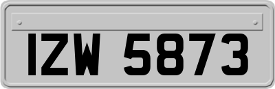 IZW5873
