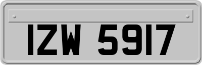 IZW5917