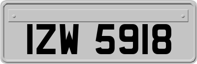 IZW5918