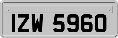 IZW5960