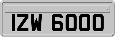 IZW6000