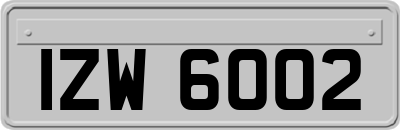 IZW6002