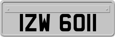 IZW6011