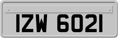 IZW6021
