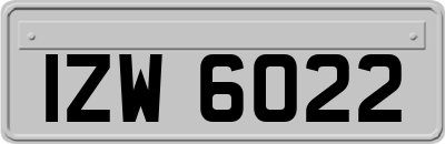 IZW6022