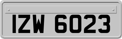 IZW6023