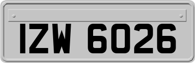 IZW6026