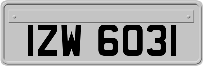 IZW6031