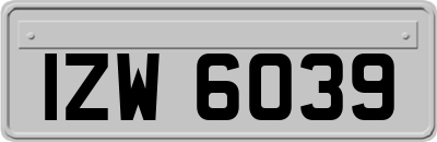 IZW6039