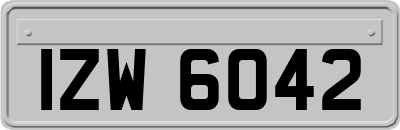 IZW6042