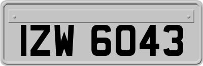 IZW6043