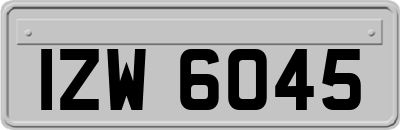 IZW6045