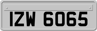 IZW6065