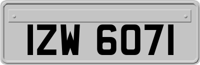 IZW6071