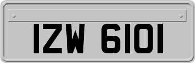 IZW6101