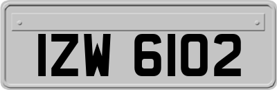 IZW6102