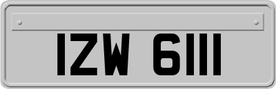 IZW6111