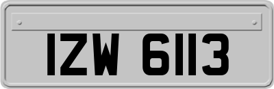 IZW6113