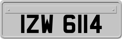 IZW6114