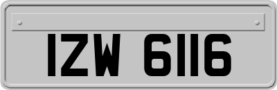IZW6116