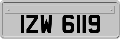 IZW6119