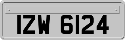 IZW6124