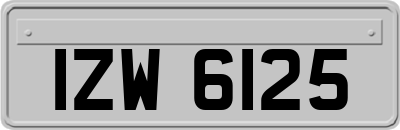 IZW6125