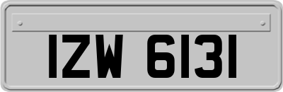 IZW6131