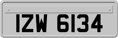 IZW6134