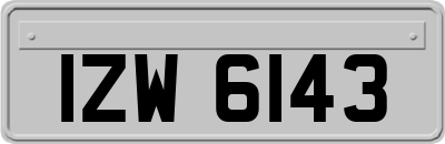 IZW6143