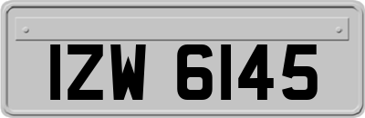 IZW6145