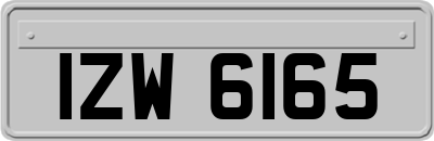 IZW6165