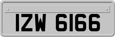 IZW6166