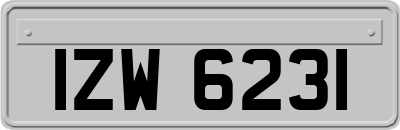 IZW6231