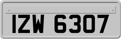 IZW6307