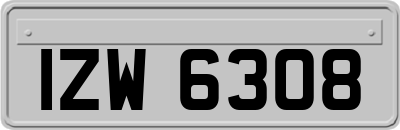 IZW6308