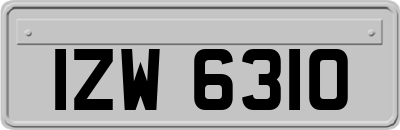 IZW6310