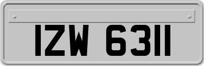 IZW6311