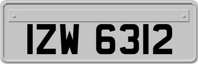 IZW6312