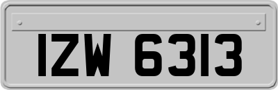 IZW6313
