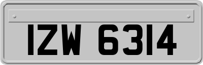 IZW6314